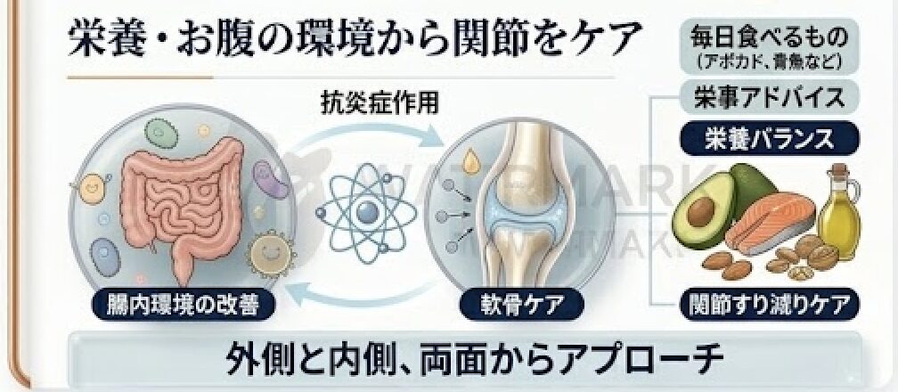 栄養と腸内環境のケア